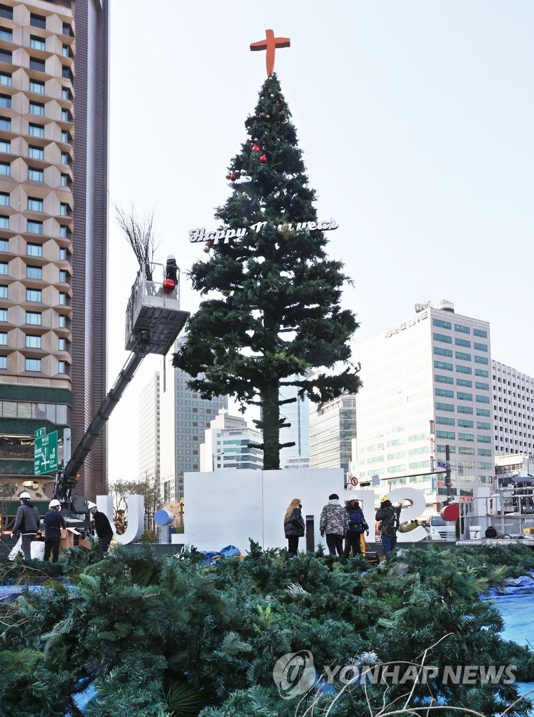ソウル広場にクリスマスツリー登場 ソウル広場にクリスマスツリー登場