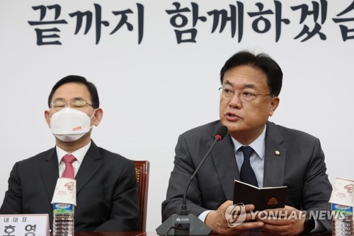 발언하는 정진석 비대위원장