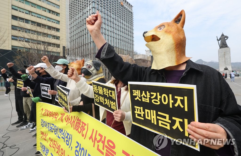양평 개 아사 사건 처벌 촉구 기자회견