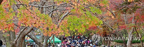'붙잡고 싶은 가을'…초겨울 날씨에도 유명 산·관광지 '북적'