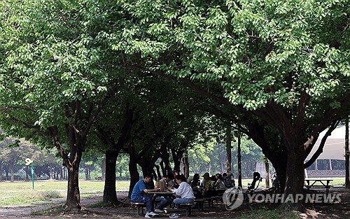 서울숲서 즐기는 시원한 여름밤…내달 17일부터 푸른밤 축제