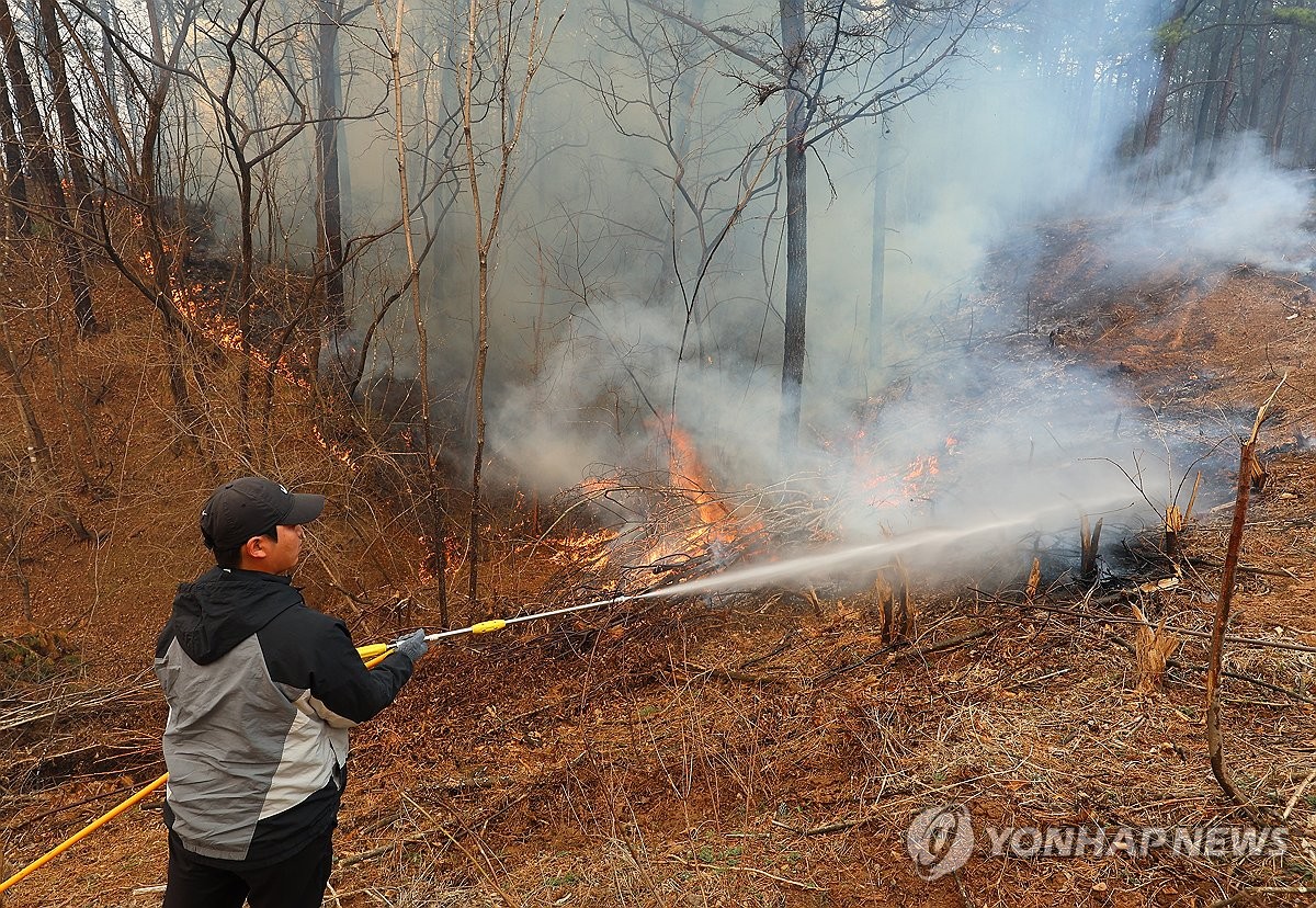 산불 진화작업 벌이는 자율방재단 대원