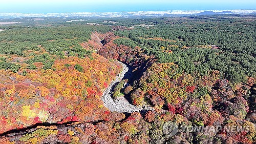 [픽! 제주] 한라산 단풍 절정…천아계곡 등 곳곳 울긋불긋