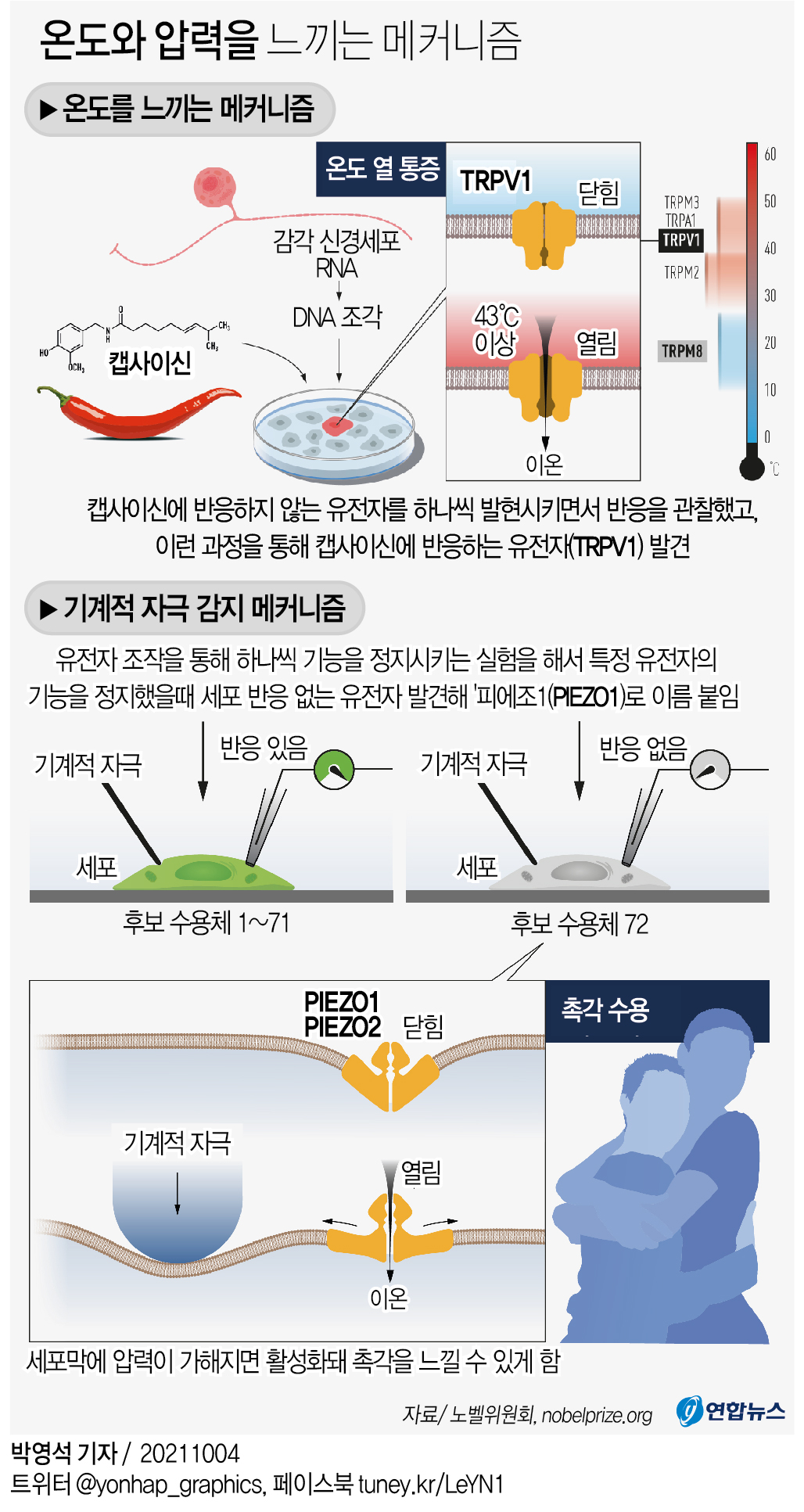 [그래픽] 온도와 압력을 느끼는 메커니즘
