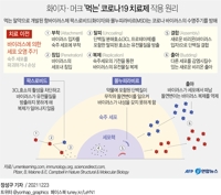 [그래픽] 화이자·머크 '먹는' 코로나19 치료제 작용 원리