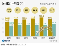 [그래픽] 논벼(쌀) 수익성 추이