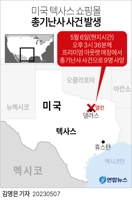 [그래픽] 미국 텍사스 쇼핑몰 총기난사 사건 발생