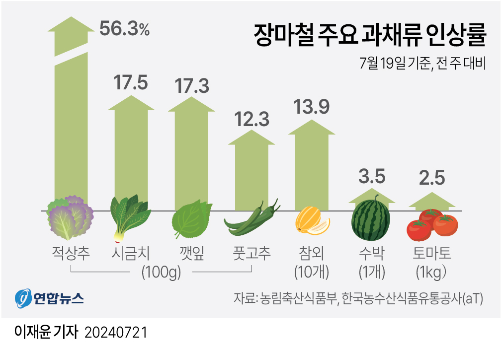 [그래픽] 장마철 주요 과채류 인상률 | 연합뉴스