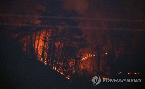 رئيس الوزراء يأمر ببذل جهود شاملة لإخماد حرائق الغابات في بلدة بونغهوا بإقليم كيونغ سانغ الشمالي