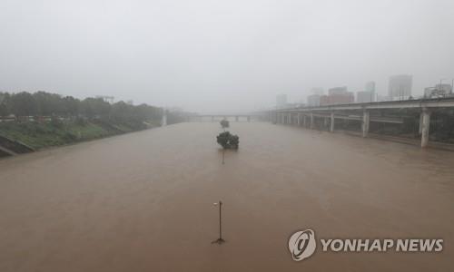 الأمطار الغزيرة تتسبب في مقتل 3 أشخاص في كوريا الجنوبية - 2