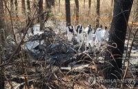 (جديد3) مقتل 5 أشخاص في تحطم هليكوبتر في يانغيانغ