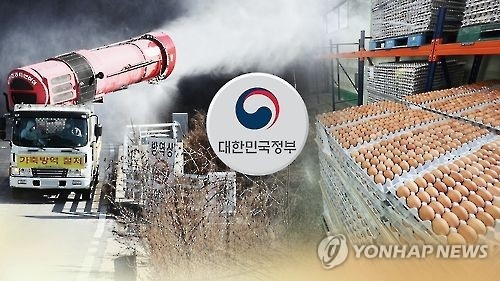 (News Focus) S. Korea struggles to contain egg prices with tariff-free imports - 5