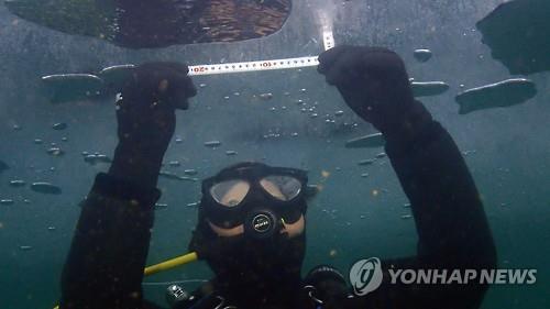 A diver measures the ice thickness in this undated photo provided by Hwacheon County (Yonhap) 