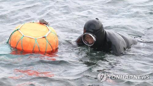 In this file photo taken on Nov. 26, 2020, "haenyeo," or a female diver, works in waters off the southern resort island of Jeju. (Yonhap) 