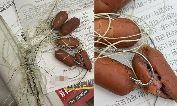 This undated composite photo captured from social media shows a batch of fishhooks skewered with mini sausages discovered at a park popular among dog owners in Incheon, west of Seoul. (PHOTO NOT FOR SALE) (Yonhap)