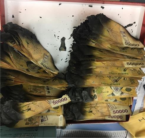 This undated photo, released by the Bank of Korea on Jan. 16, 2019, shows burned 50,000-won banknotes. (Yonhap)