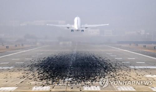 L'émissaire américain part à Pyongyang pour préparer le 2e sommet