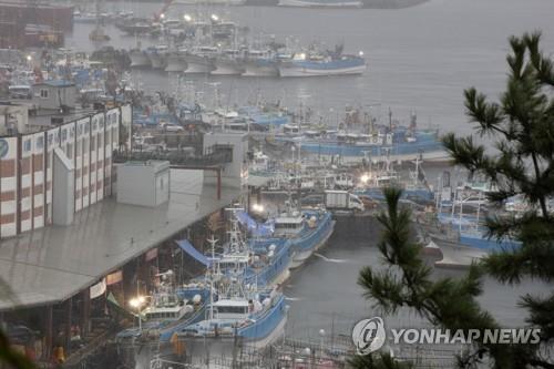 台風に備える済州島の漁船＝2日、済州（聯合ニュース）