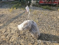 北朝鮮が散布か　汚物など下げた約９０個の風船確認＝韓国軍