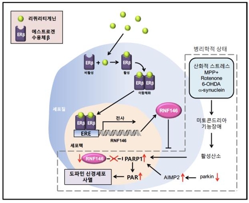 ê°ì´ˆ ì¶