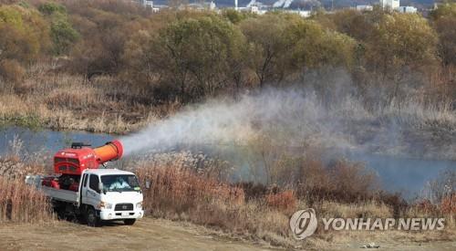 충남 홍성 간월호에서 H5형 AI 항원 검출