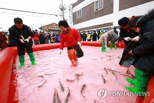 "눈 올 때 먹어야 제맛"…부안 설숭어 축제 14일 개막