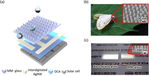 비 올 때도 높은 효율로 태양광발전…나방 눈에서 영감 얻어
