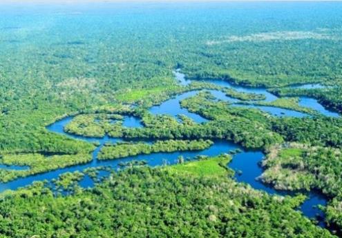 '지구의 허파'로 불리는 아마존 열대우림. [브라질 일간 글로부]