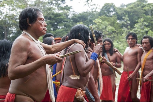 브라질 북부 아마파 주 마리리 고원에 사는 와이앙피 원주민들 [브라질 뉴스포털 UOL]