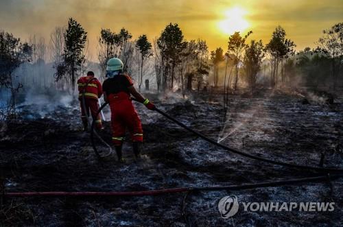 인도네시아 리아우주의 산불 진화 장면