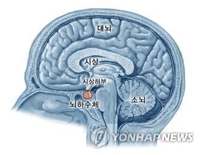 "비만 유발하는 고칼로리식도 중독성 있다"