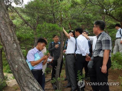 남북, 금강산 병해충 피해 공동점검