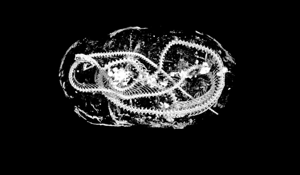 AKR20200821054900009_01_i_P4.jpg
