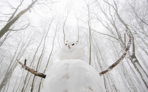 숲속의 눈사람 -독일 닌슈테트-