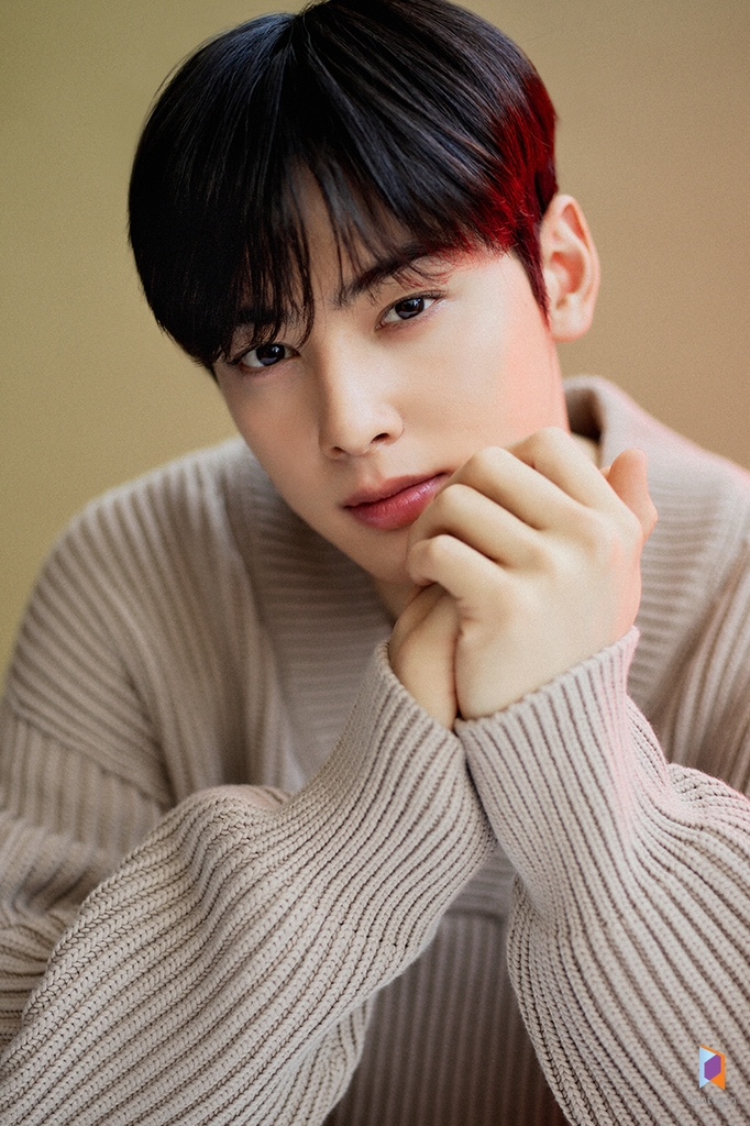 tvN 드라마 '여신강림'에서 이수호 역을 연기한 배우 차은우