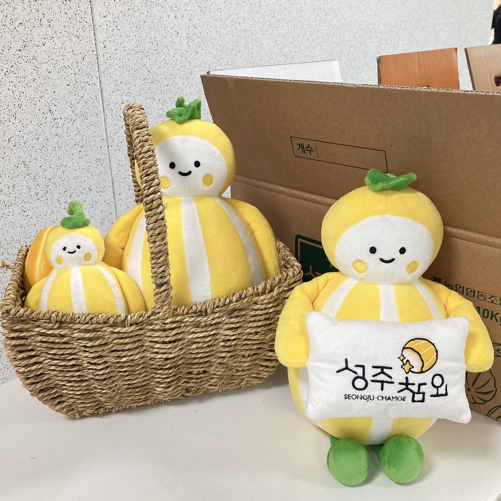 성주재활용 이미지