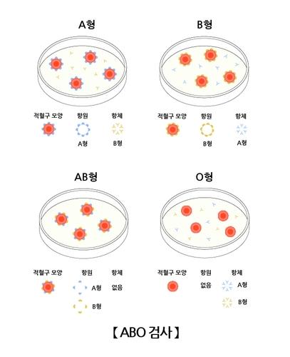 박군 혈액형