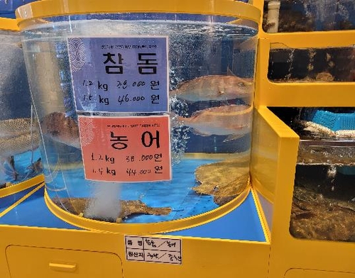 일본산 참돔·가리비를 국산으로 속여 판매…인천시 26곳 적발
