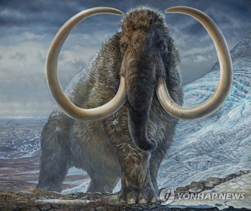 상아가 밝혀준 1만7천년 전 수컷 털북숭이 매머드 생활사