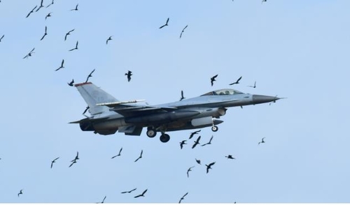 F16 전투기와 민물가마우지 충돌
