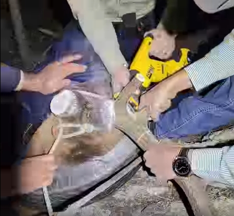 폐타이어 제거를 위해 뿔을 잘라내는 모습.
