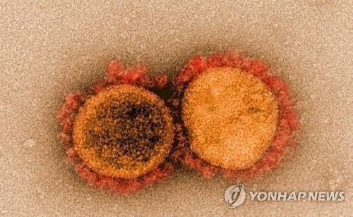 신종 코로나바이러스 전자현미경 이미지