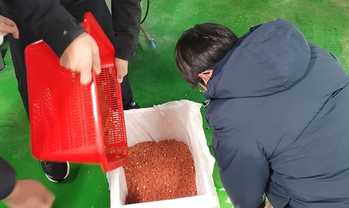 "충북 내수면서 연어 양식"…전국 첫 산업화 연구