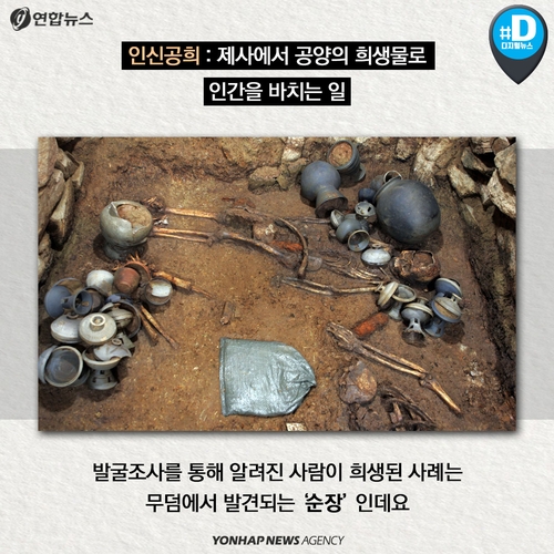[카드뉴스] 경주 월성서 발견된 135cm 신라 여성, '인간 제물'? - 3
