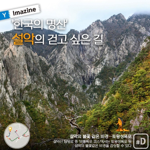 [여행honey] '한국의 명산' 설악의 걷고 싶은 길
