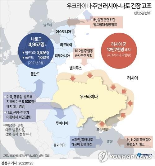 우크라이나 접경 루마니아 "나토 주둔군 증강 논의 중" - 2