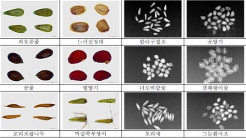 수목원 정원 관리원 한국 한국수목원정원관리원·문화재청, 천연기념물