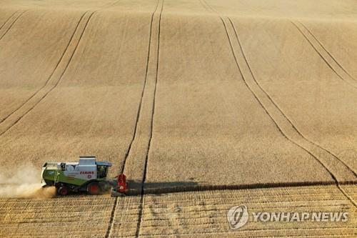 러 "밀 등 곡물 유라시아경제연합국 수출 6월까지 중단"(종합)