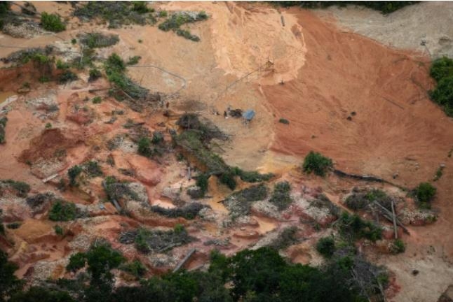 불법 금광개발업자들이 파헤친 아마존 열대우림