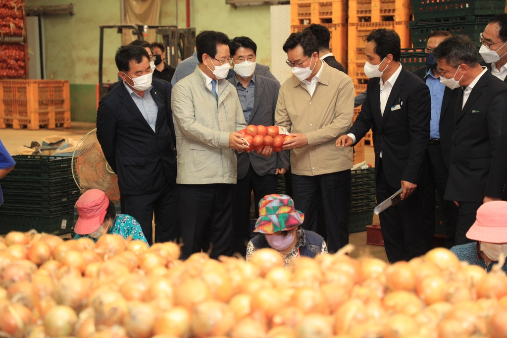 정황근 농식품부 장관, 전남서남부채소농협 방문해 양파 출하상황 점검